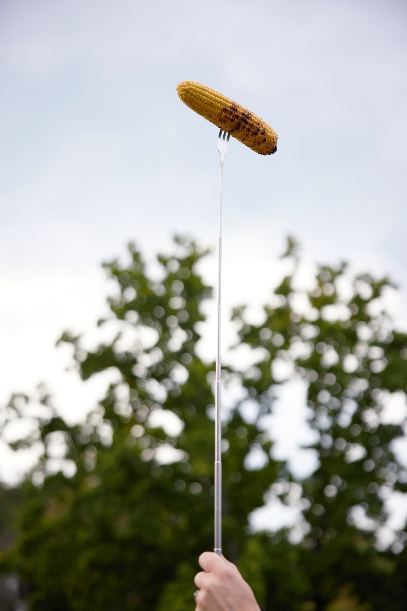 Fredde Pølsegaffel